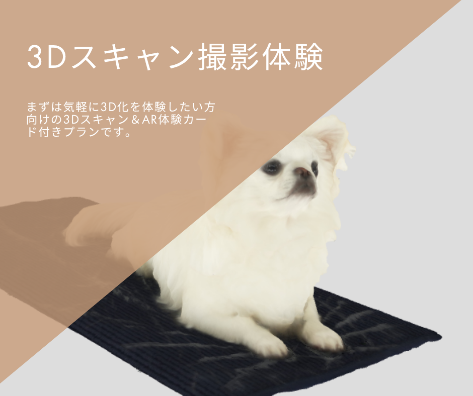 3Dスキャン撮影体験
