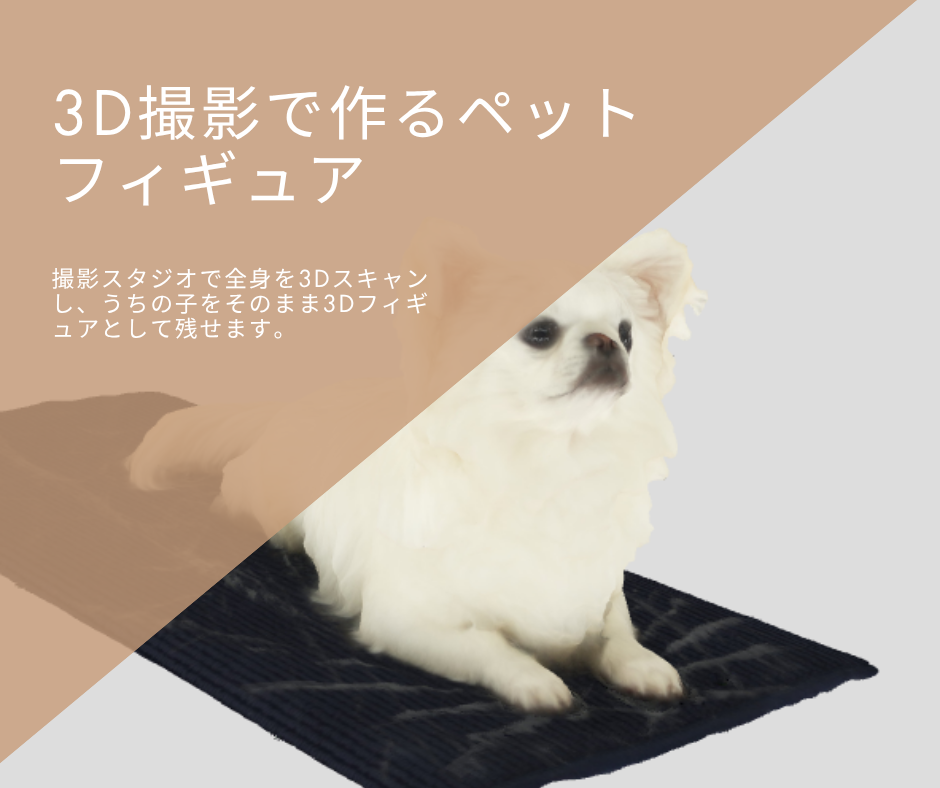 3D撮影で作るペットフィギュア